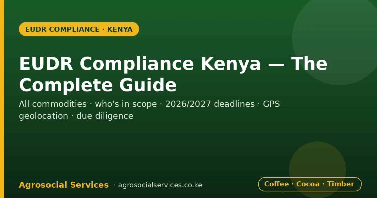 Kenyan coffee and timber exporters preparing EUDR deforestation-free due diligence documentation